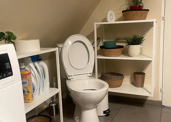 F1 Meuble Lejlighed Illkirch-Graffenstaden